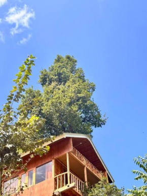 HimalayanTradition Treehouse